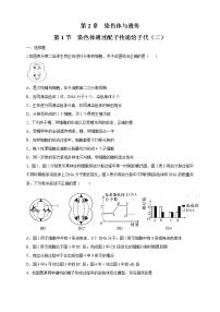 2020-2021学年第一节 染色体通过配子传递给子代课后测评