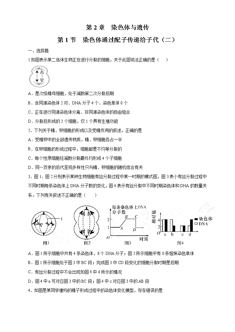 2.1.2 染色体通过配子传递给子代 练习-浙科版高中生物必修2遗传与进化01