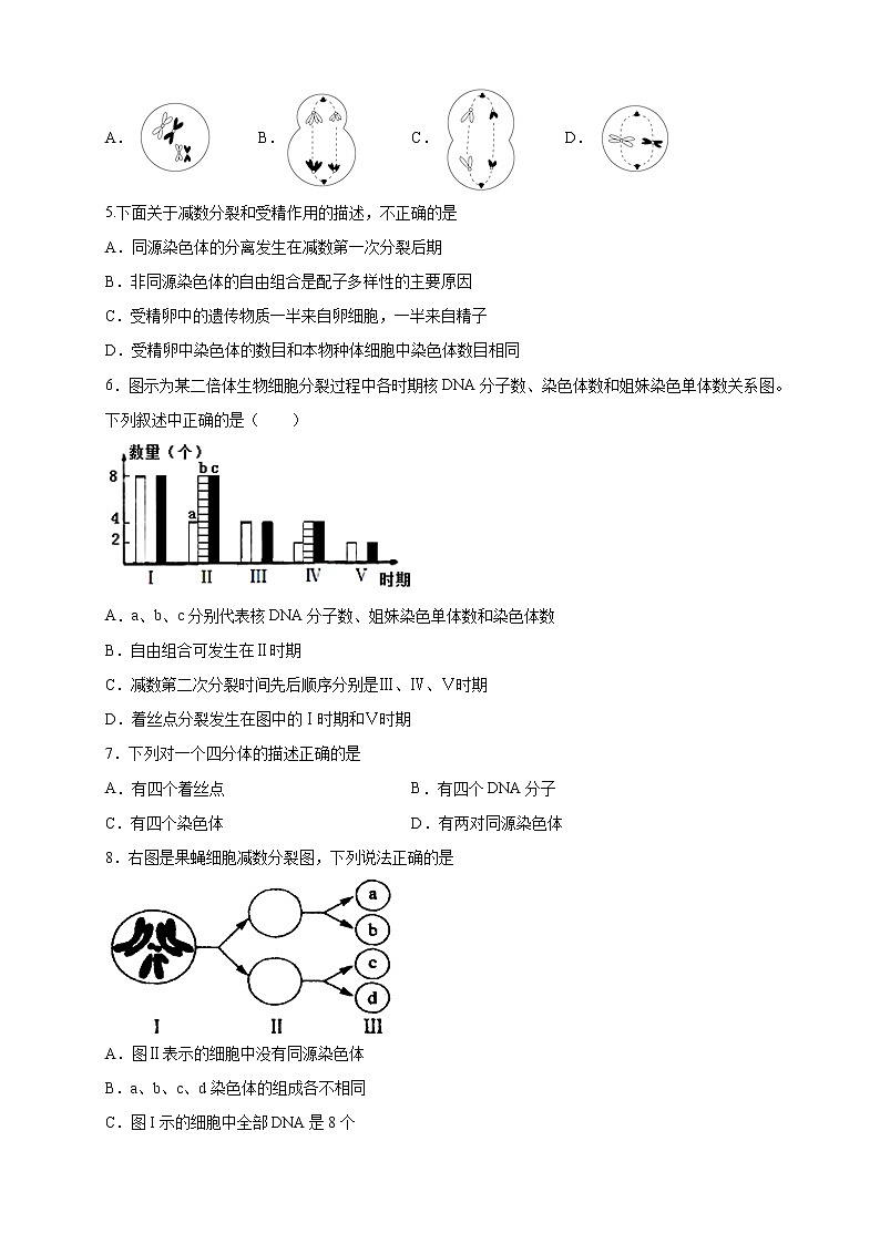 2.1.2 染色体通过配子传递给子代 练习-浙科版高中生物必修2遗传与进化02