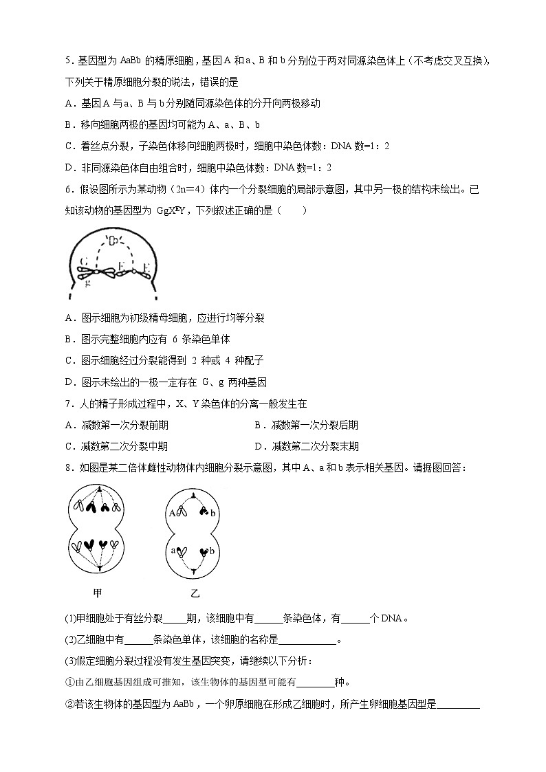 2.2 基因伴随染色体传递 练习-浙科版高中生物必修2遗传与进化02