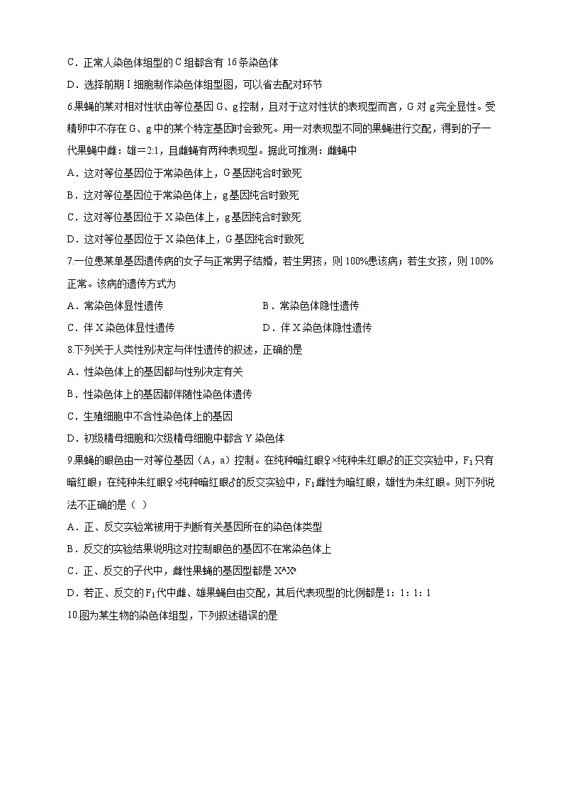 2.3 性染色体上基因的传递和性别相关联 练习-浙科版高中生物必修2遗传与进化02