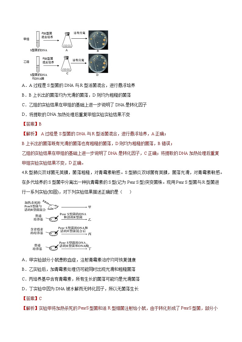 3.1.1 核酸是遗传物质 练习-浙科版高中生物必修2遗传与进化02