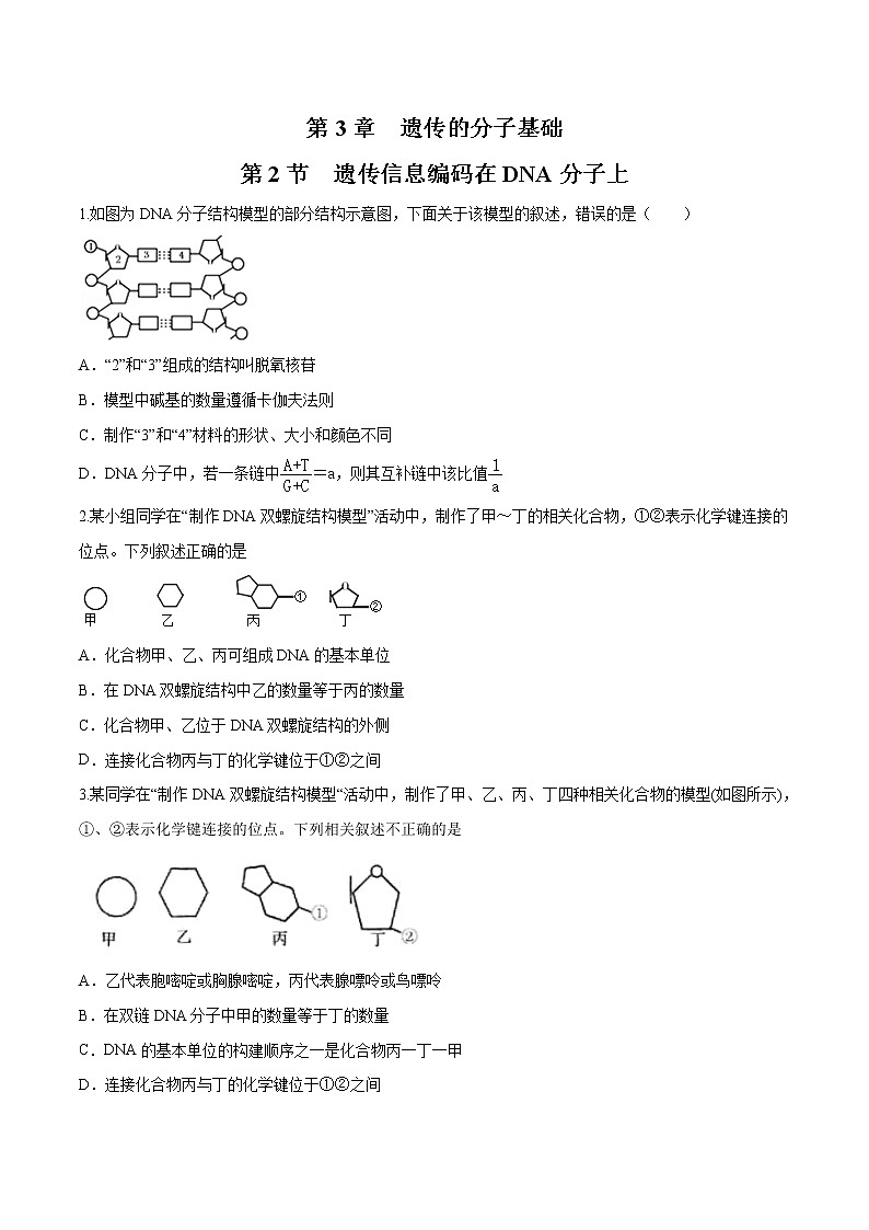 3.2 遗传信息编码在DNA分子上 练习-浙科版高中生物必修2遗传与进化01