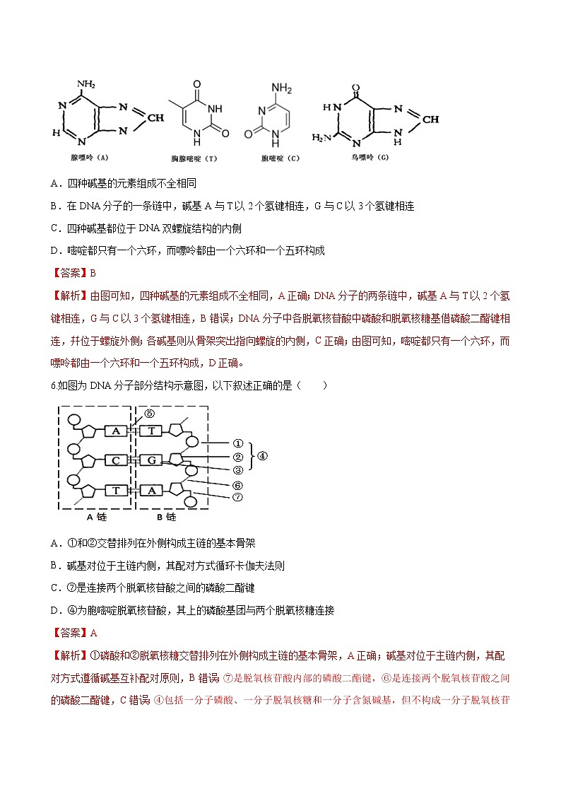 3.2 遗传信息编码在DNA分子上 练习-浙科版高中生物必修2遗传与进化03