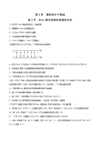 生物必修2《遗传与进化》第三节 DNA通过复制传递遗传信息精练