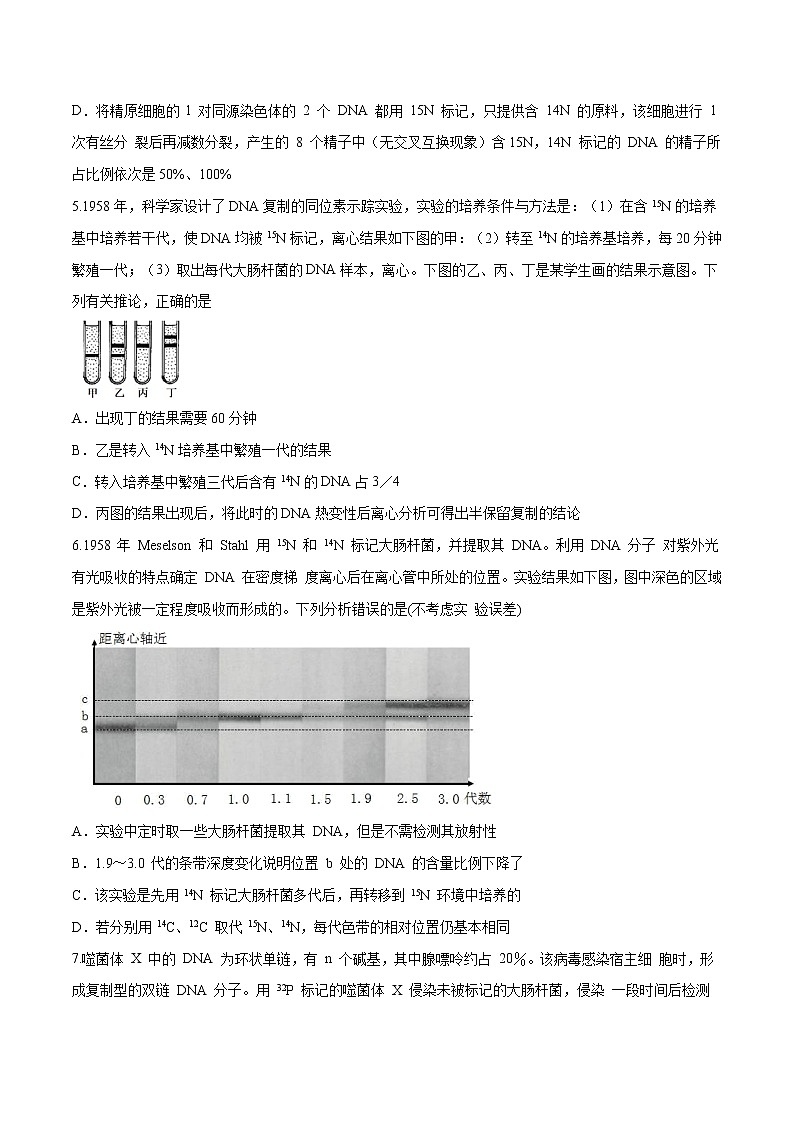 3.3 DNA通过复制传递遗传信息 练习-浙科版高中生物必修2遗传与进化02