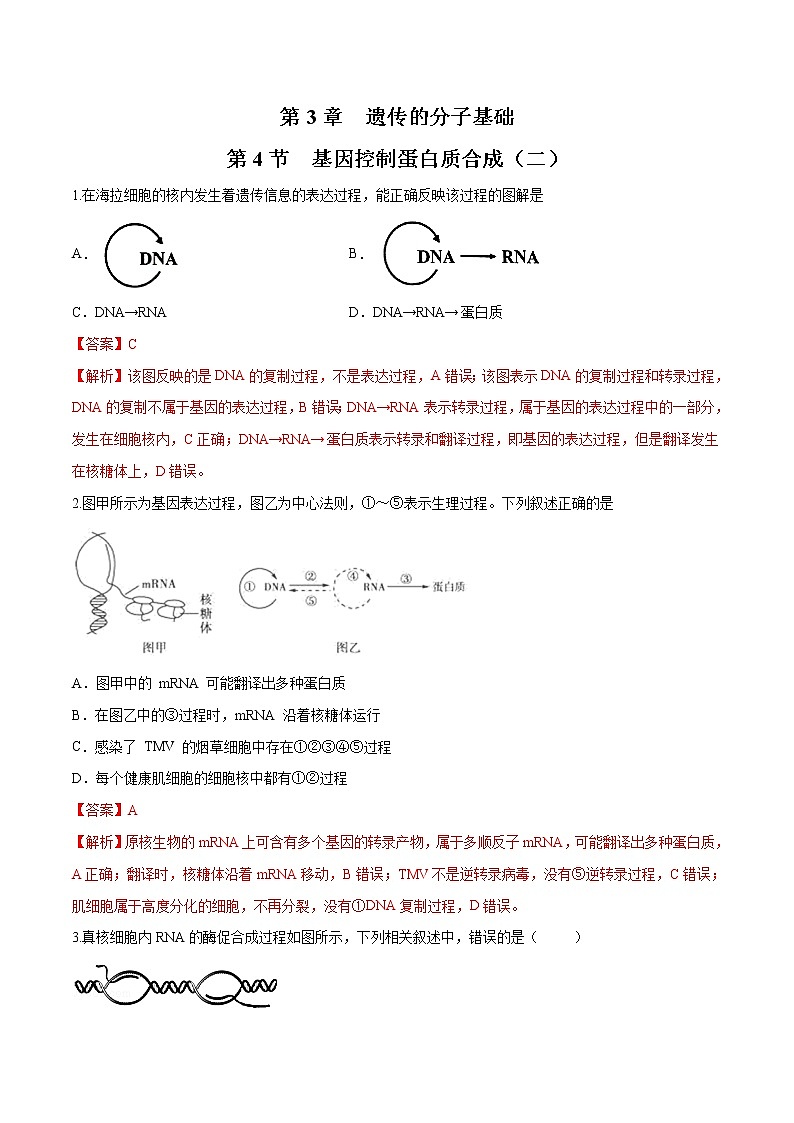 3.4.2 基因控制蛋白质合成 练习-浙科版高中生物必修2遗传与进化01