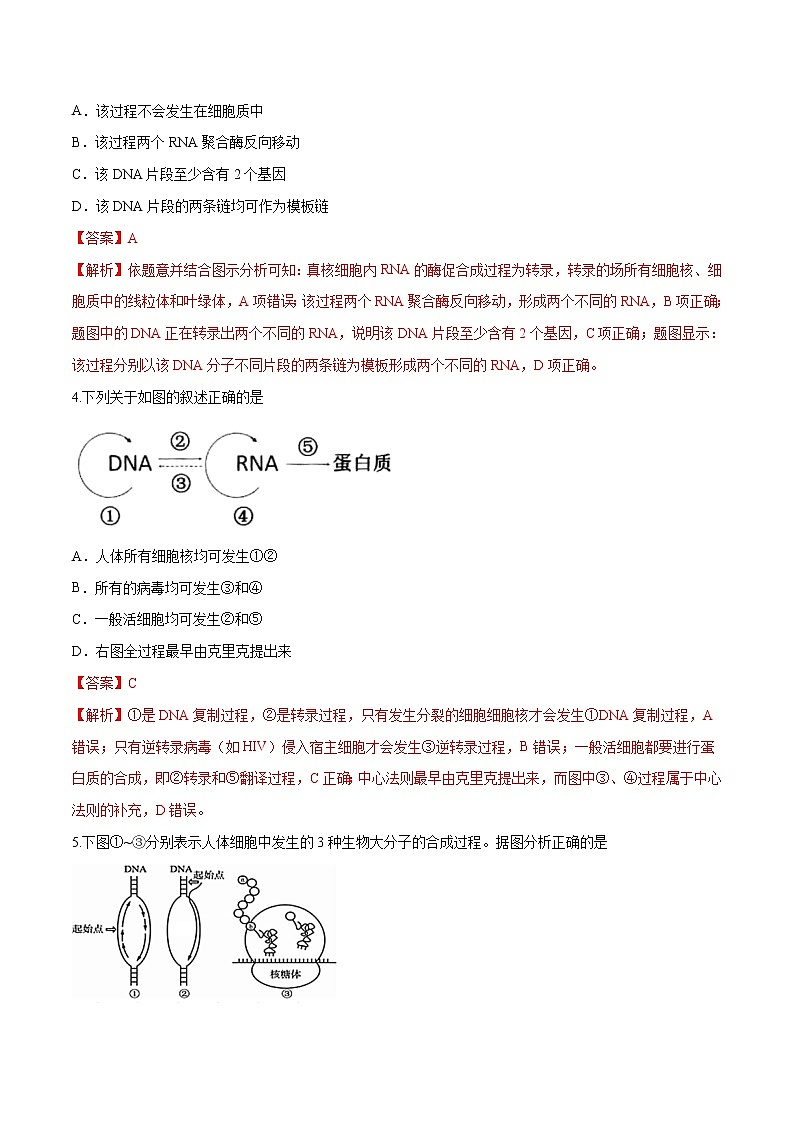 3.4.2 基因控制蛋白质合成 练习-浙科版高中生物必修2遗传与进化02