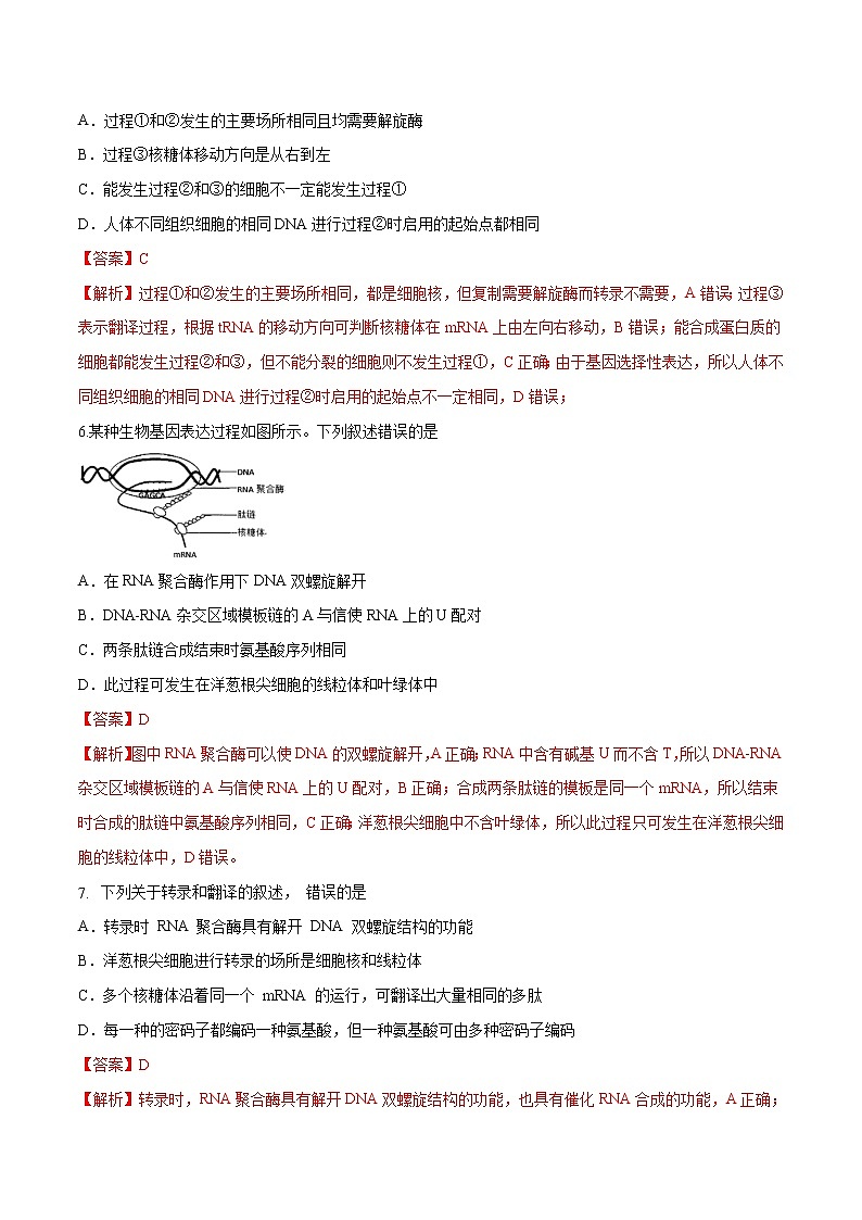 3.4.2 基因控制蛋白质合成 练习-浙科版高中生物必修2遗传与进化03