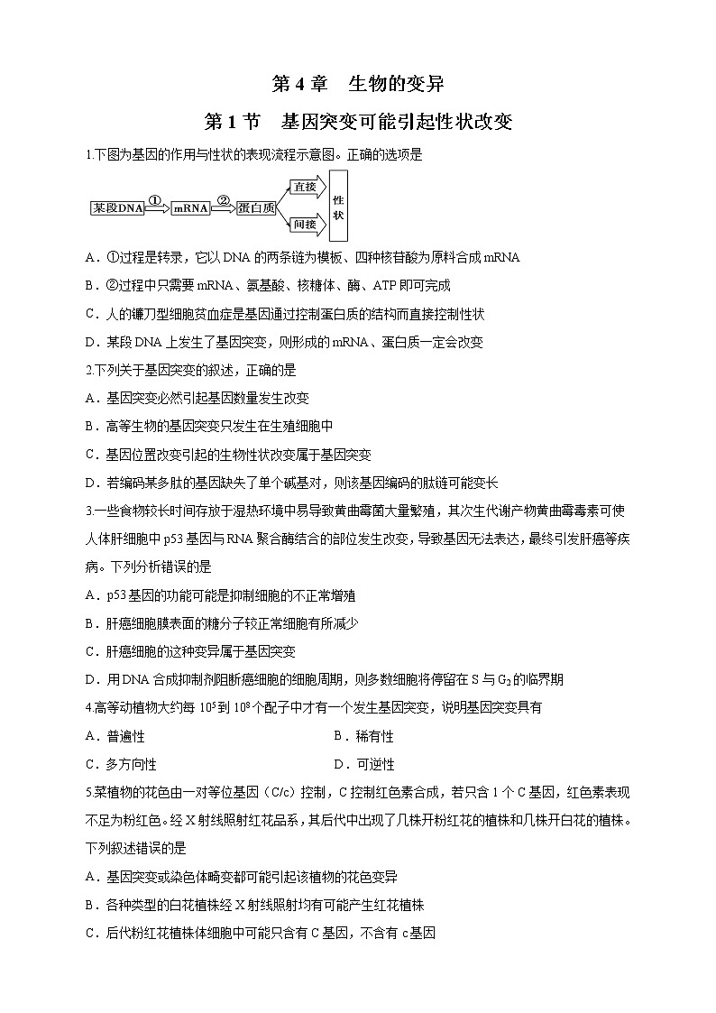 【新教材精创】4.1 基因突变可能引起性状改变 练习（2）（原卷版）第1页