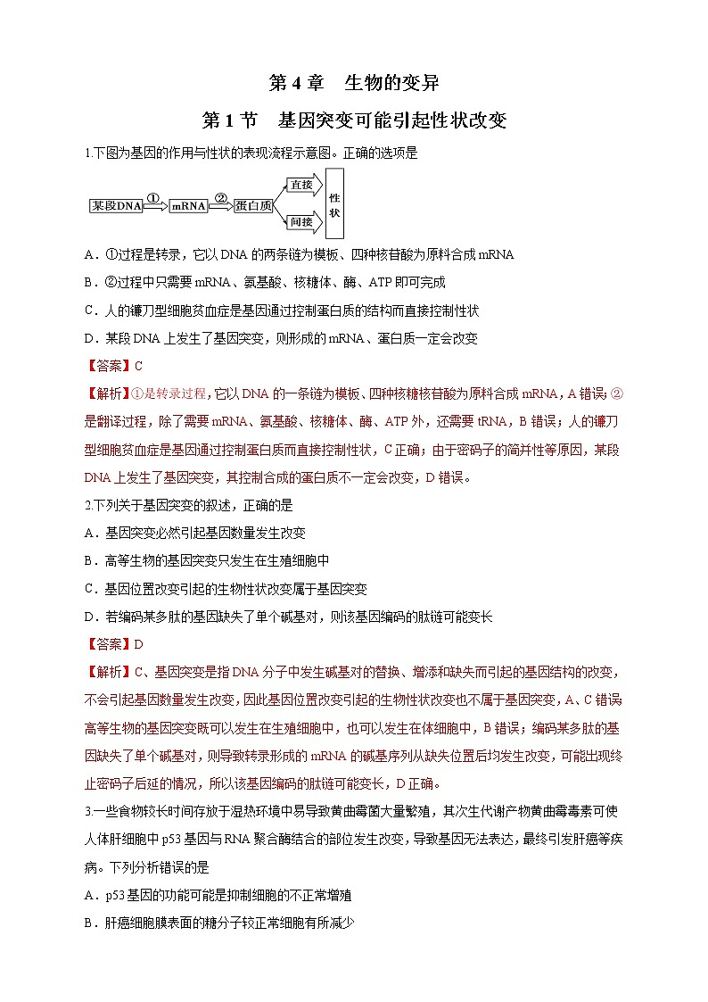 【新教材精创】4.1 基因突变可能引起性状改变 练习（2）（解析版）第1页