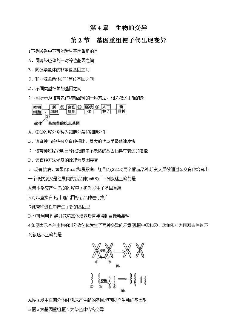 【新教材精创】4.2 基因重组使子代出现变异 练习（2）（原卷版）第1页