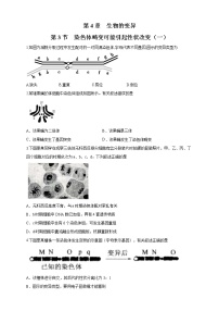 2020-2021学年第三节 染色体畸变可能引起性状改变练习