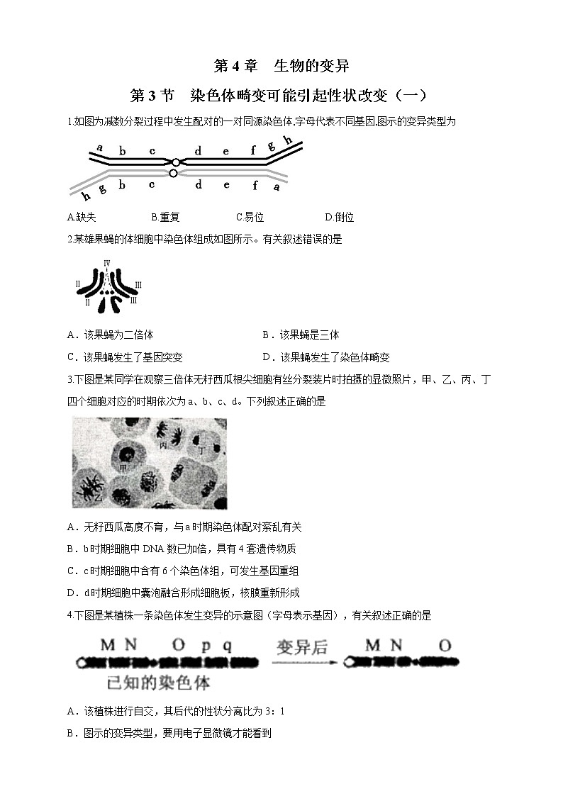 【新教材精创】4.3.1 染色体畸变可能引起性状改变 练习（2）（原卷版）第1页