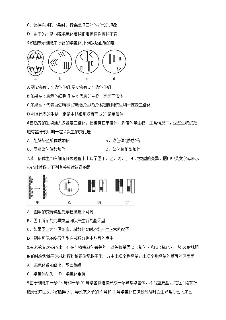 【新教材精创】4.3.1 染色体畸变可能引起性状改变 练习（2）（原卷版）第2页