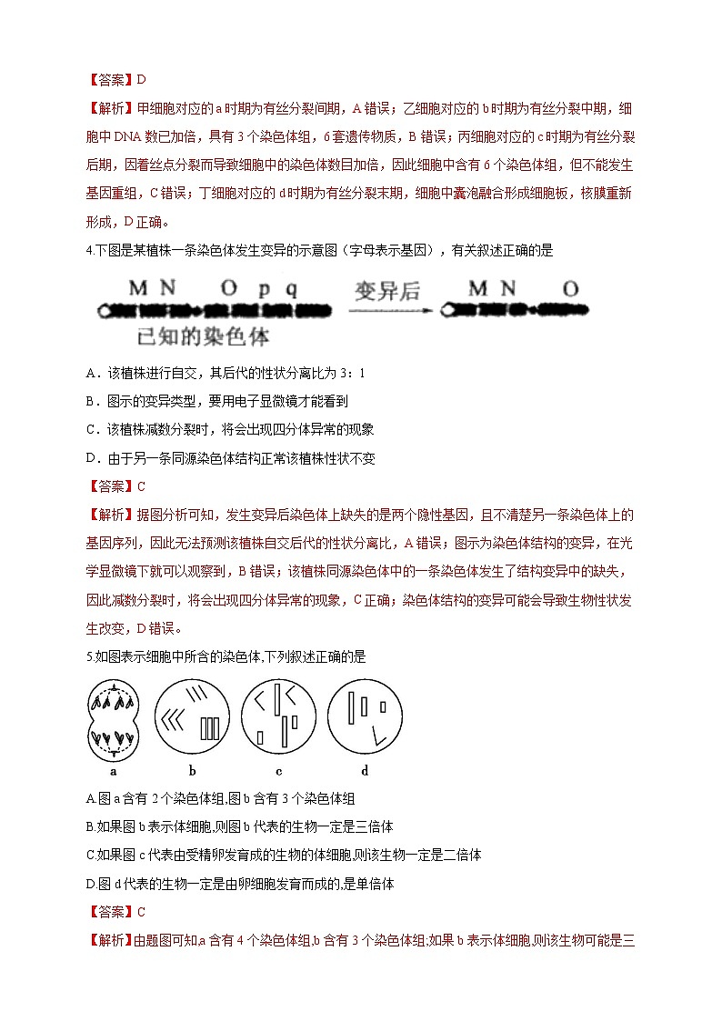 【新教材精创】4.3.1 染色体畸变可能引起性状改变 练习（2）（解析版）第2页