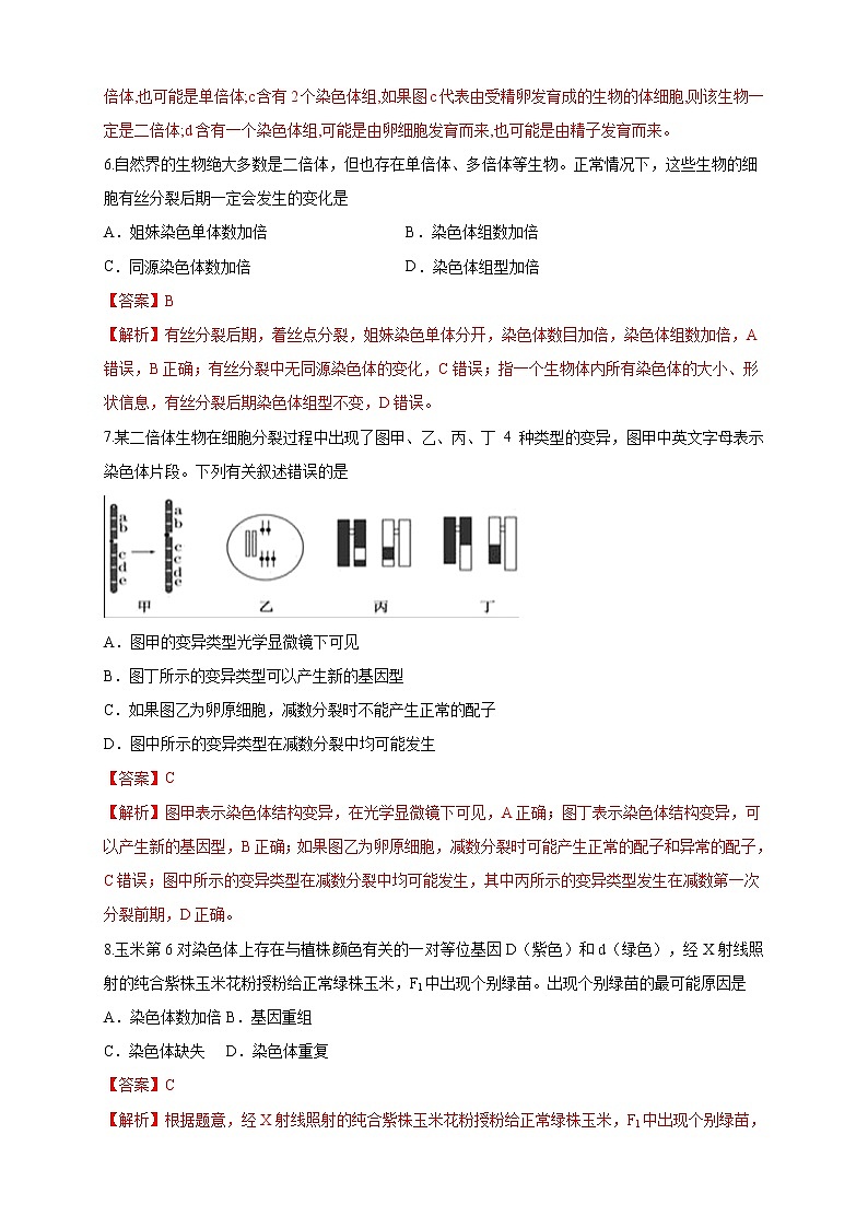 【新教材精创】4.3.1 染色体畸变可能引起性状改变 练习（2）（解析版）第3页
