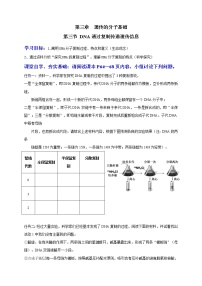 高中生物浙科版 (2019)必修2《遗传与进化》第三章 遗传的分子基础第三节 DNA通过复制传递遗传信息学案