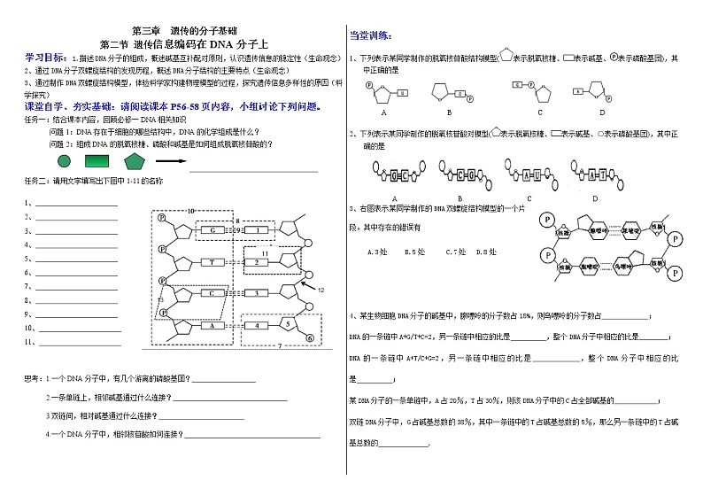 3.2 遗传信息编码在DNA分子上 学案 2020-2021学年浙科版（2019）高一生物必修二01