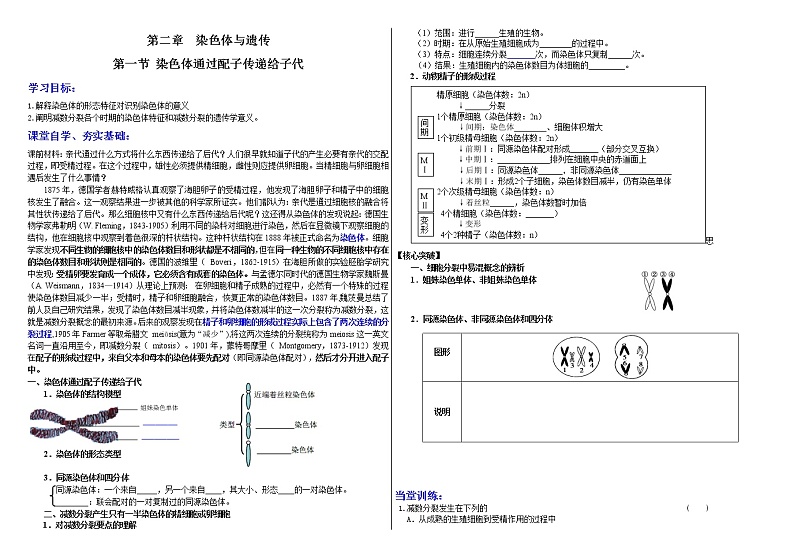 2.1 染色体通过配子传递给子代 学案 2020-2021学年浙科版（2019）高一生物必修二01