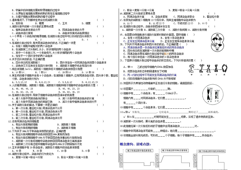 2.1 染色体通过配子传递给子代 学案 2020-2021学年浙科版（2019）高一生物必修二02