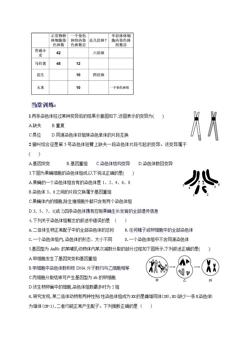 4.3 染色体畸变可能引起性状改变 学案2020-2021学年浙科版（2019）高一生物必修二第2页