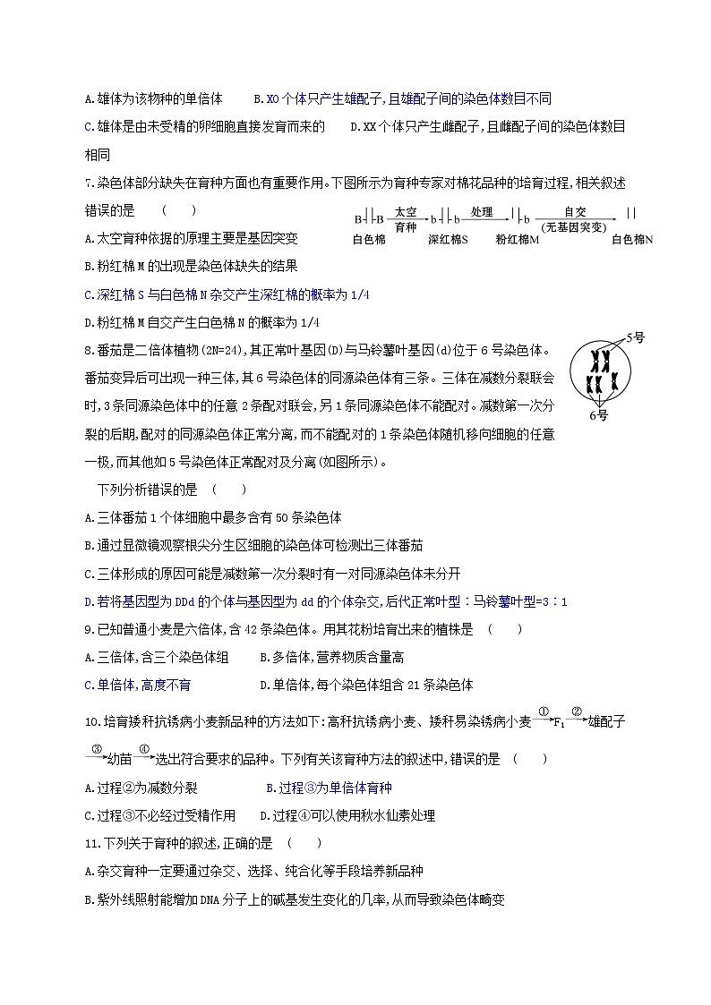 4.3 染色体畸变可能引起性状改变 学案2020-2021学年浙科版（2019）高一生物必修二第3页