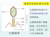 3.1 核酸是遗传物质2 课件2020-2021学年浙科版（2019）高一生物必修二