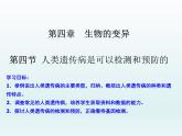 4.4 人类遗传病是可以检测和预防的 课件2020-2021学年浙科版（2019）高一生物必修二