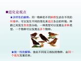5.2 适应是自然选择的结果 课件2020-2021学年浙科版（2019）高一生物必修二
