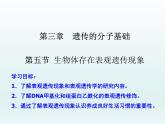 3.5 生物体存在表观遗传现象 课件2020-2021学年浙科版（2019）高一生物必修二