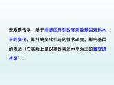 3.5 生物体存在表观遗传现象 课件2020-2021学年浙科版（2019）高一生物必修二