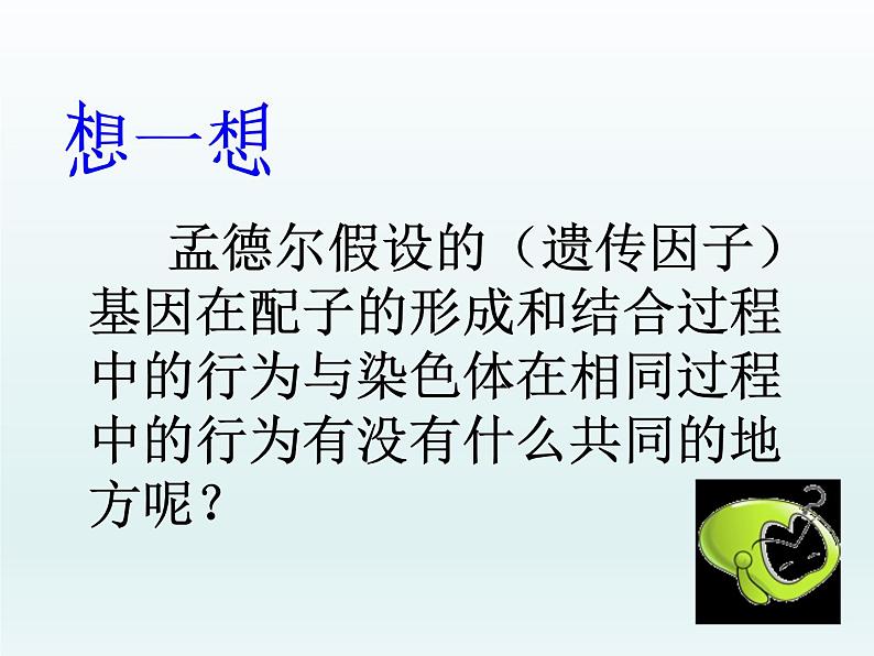 2.2 基因伴随染色体传递 课件2020-2021学年浙科版（2019）高一生物必修二02