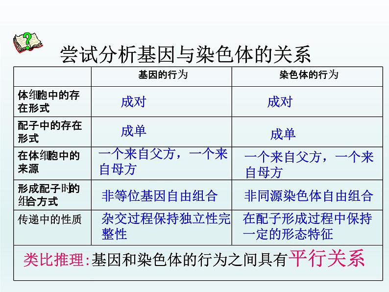 2.2 基因伴随染色体传递 课件2020-2021学年浙科版（2019）高一生物必修二03