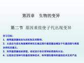 4.2 基因重组使子代出现变异 课件2020-2021学年浙科版（2019）高一生物必修二
