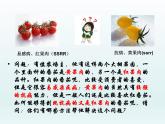 4.2 基因重组使子代出现变异 课件2020-2021学年浙科版（2019）高一生物必修二