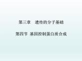 3.4 基因控制蛋白质合成 课件2020-2021学年浙科版（2019）高一生物必修二