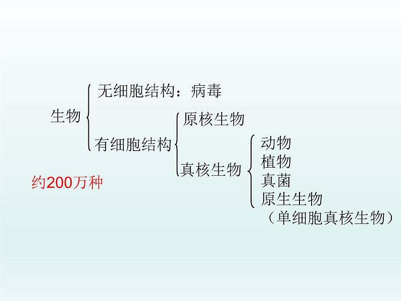 5.1 丰富多样的现存物种来自共同祖先 课件2020-2021学年浙科版（2019）高一生物必修二04