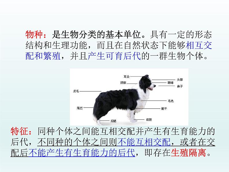 5.1 丰富多样的现存物种来自共同祖先 课件2020-2021学年浙科版（2019）高一生物必修二07