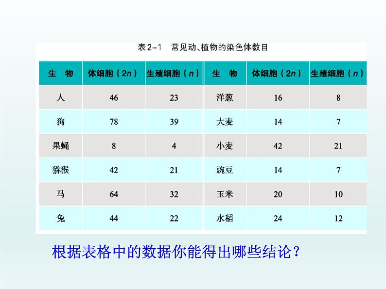 2.1 染色体通过配子传递给子代 课件2020-2021学年浙科版（2019）高一生物必修二第4页