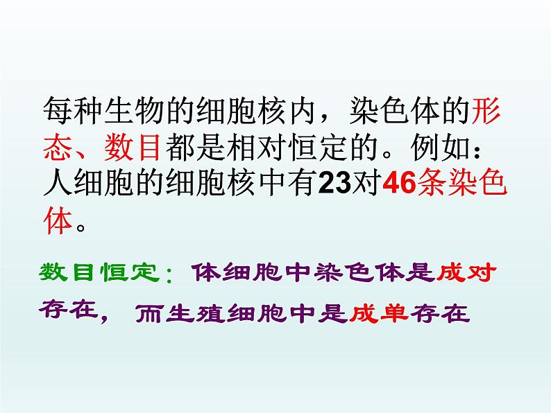 2.1 染色体通过配子传递给子代 课件2020-2021学年浙科版（2019）高一生物必修二第5页