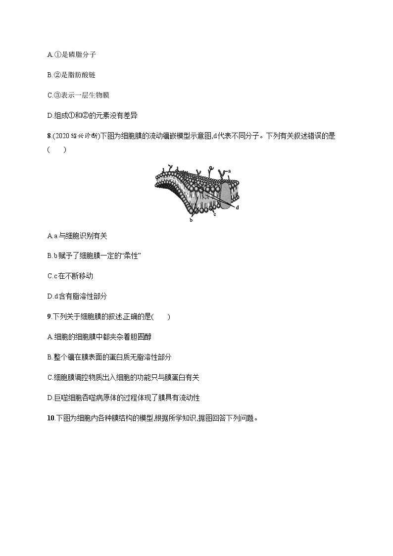 2.2 细胞膜控制细胞与周围环境的联系-练习浙科版（2019）高中生物必修一03