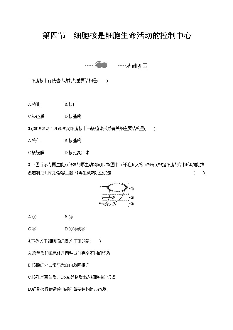 2.4 细胞核是细胞生命活动的控制中心-练习浙科版（2019）高中生物必修一01