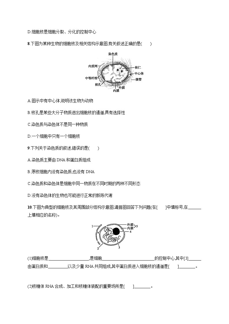2.4 细胞核是细胞生命活动的控制中心-练习浙科版（2019）高中生物必修一03