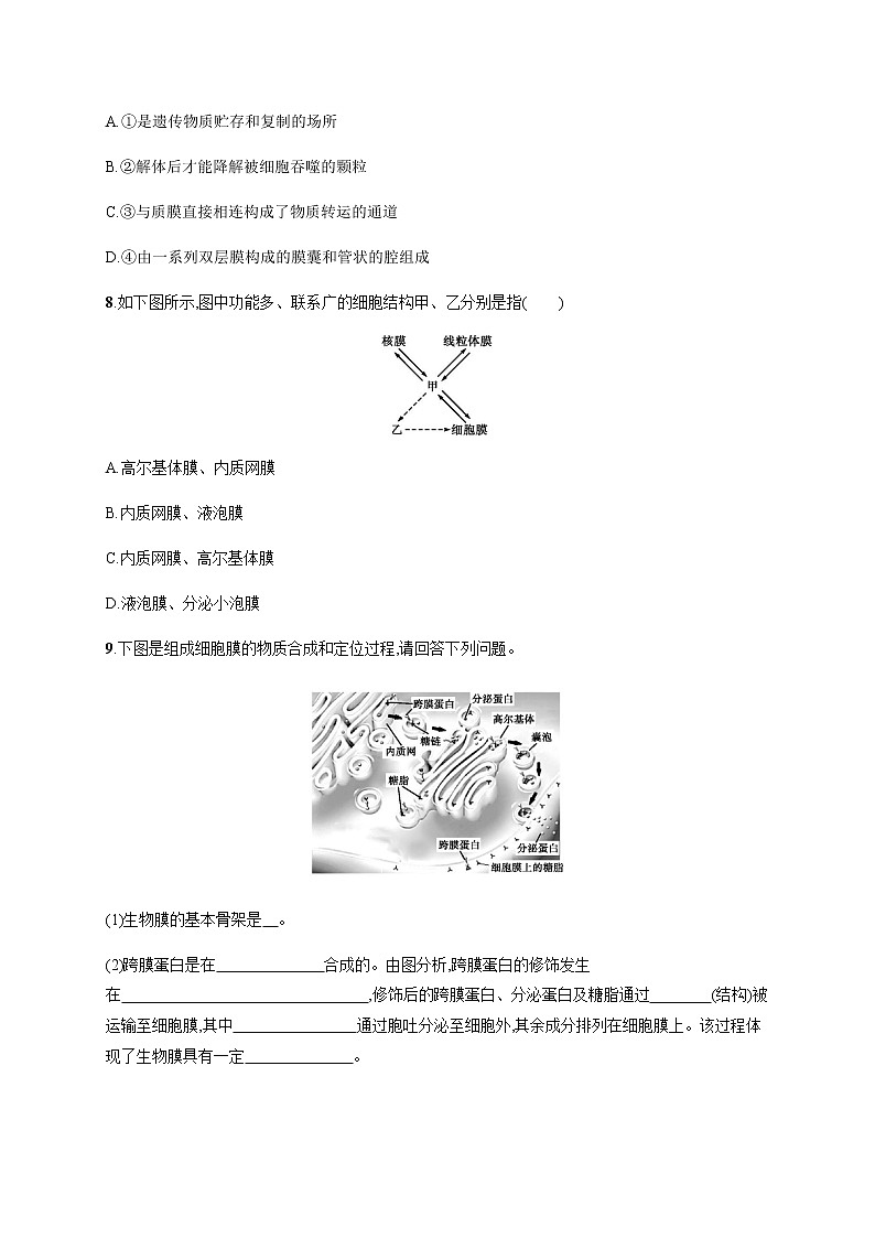 2.5 细胞在结构和功能上是一个统一整体-练习浙科版（2019）高中生物必修一03