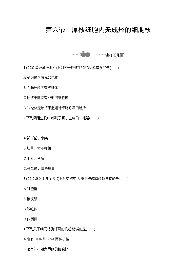 2.6 原核细胞内无成形的细胞核-练习浙科版（2019）高中生物必修一第1页