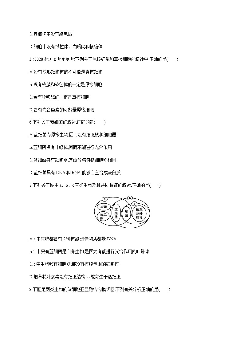 2.6 原核细胞内无成形的细胞核-练习浙科版（2019）高中生物必修一第2页