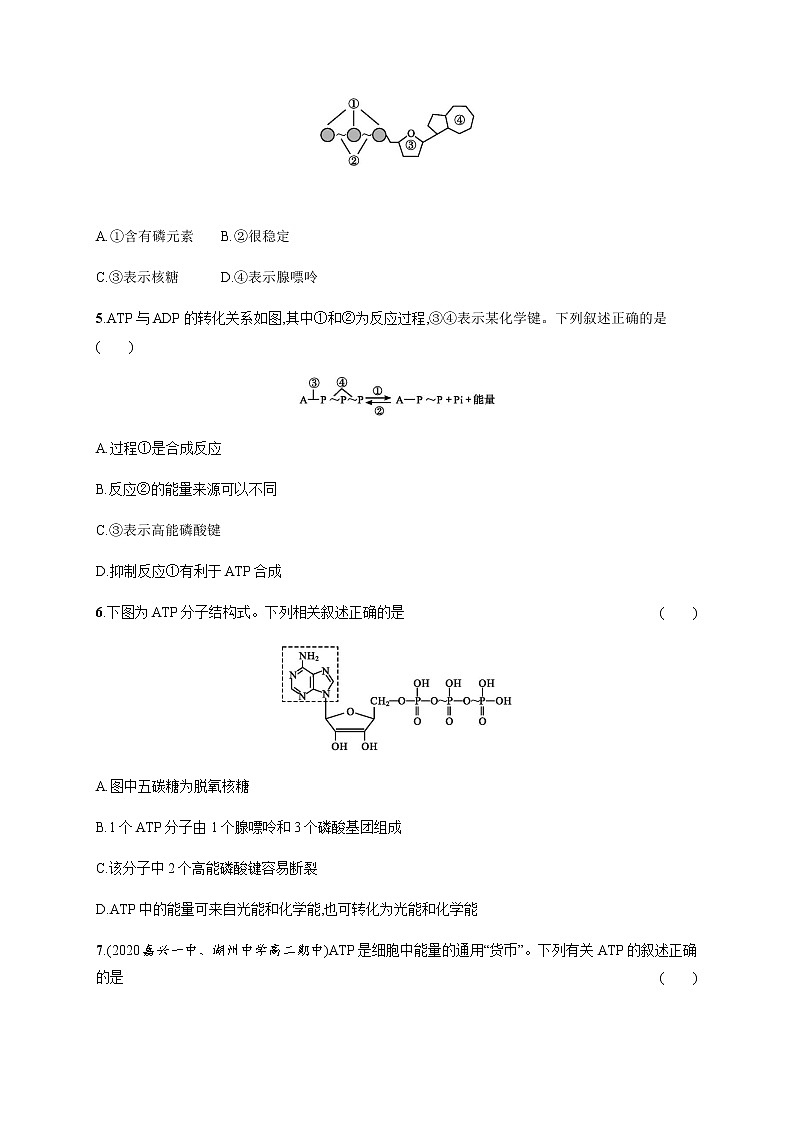 3.1 ATP是细胞内的“能量通货”-练习浙科版（2019）高中生物必修一02