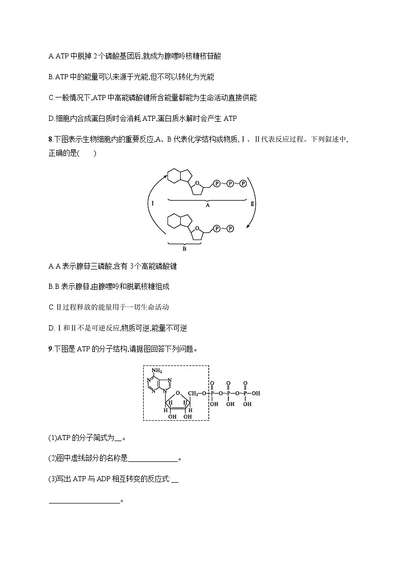 3.1 ATP是细胞内的“能量通货”-练习浙科版（2019）高中生物必修一03