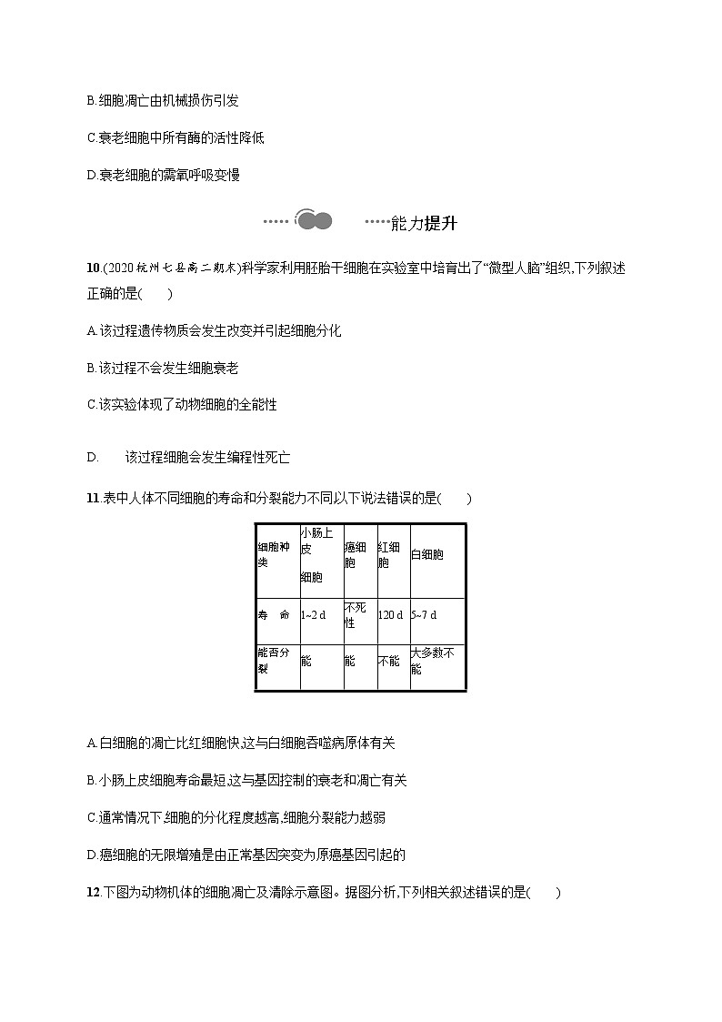 4.3 细胞凋亡是编程性死亡-练习浙科版（2019）高中生物必修一03